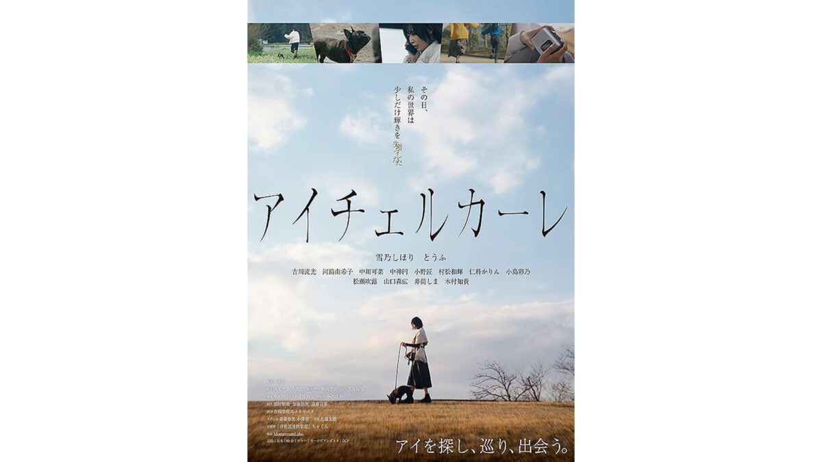映画『アイチェルカーレ』