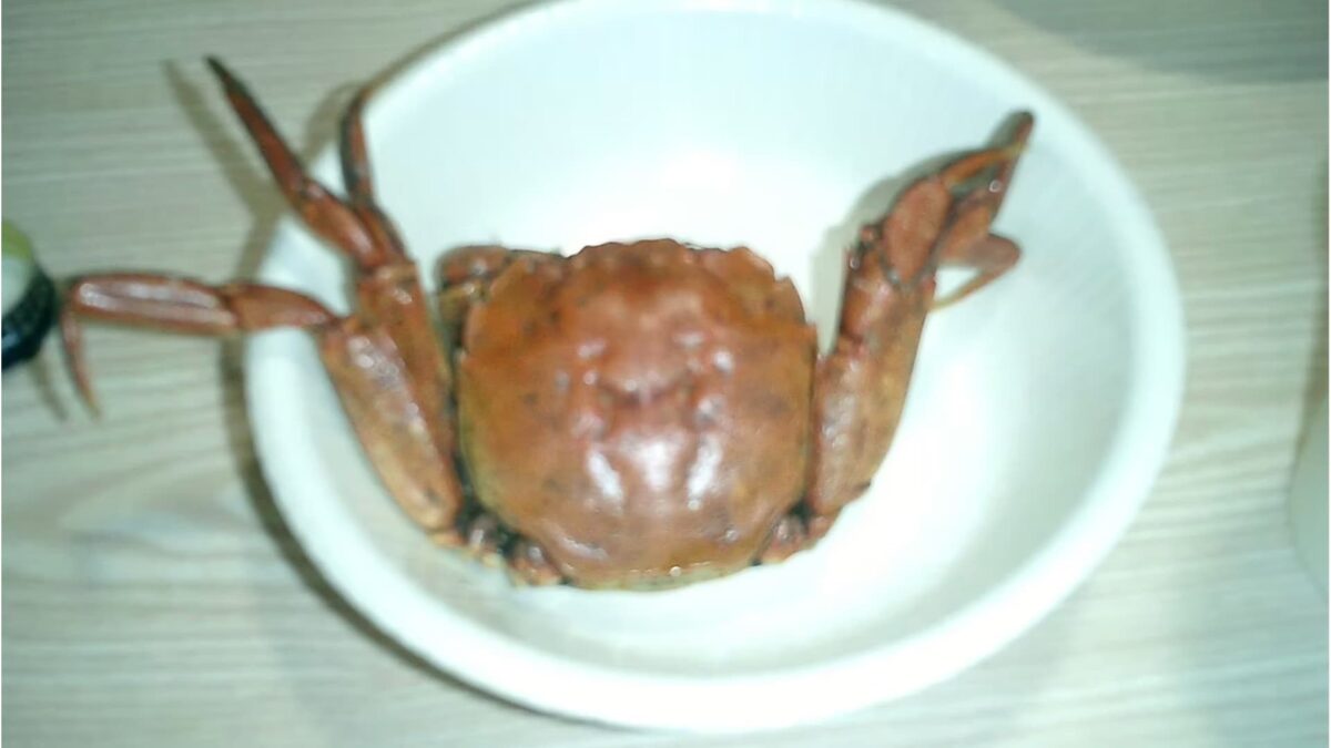 DCP制作_映画『春一番的な』